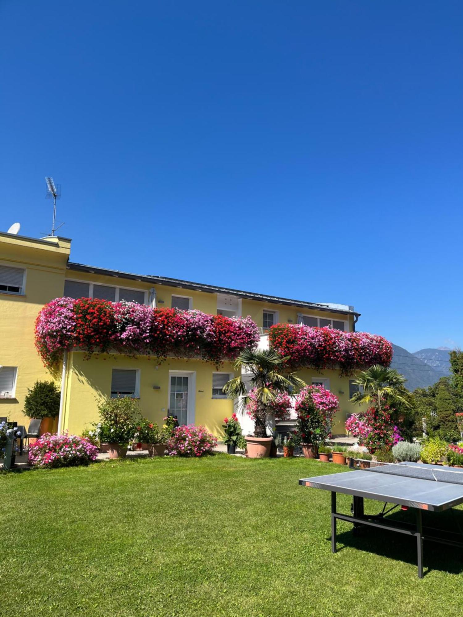 Gartenhof Apartment Bressanone Exterior photo